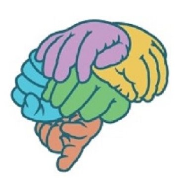 center_baba's profile picture. Baby Brain Activity