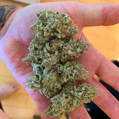UK CANNABIS PLUG
Legendary stains
Top shelf Cali buds 4 sales
Quick drop off
Tins available
Dm us to make an order
Delivery service available