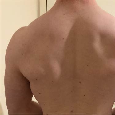 A 6'4 submissive fag looking to serve real men, musclefag in training, 2nd row (rugby). Buzzed refers to my hair. DM/@ me for my Recon/if you want to use me.