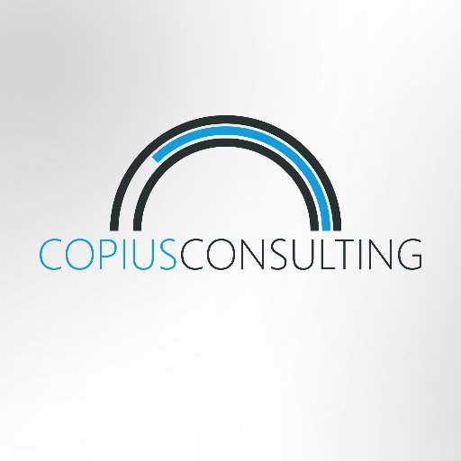 Copius Group offer advice, guidance, training, programme delivery & support for the C&V sector. #funding #strategy #evaluation #businessplan Tel: 028 9590 2850