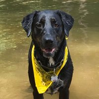 furiosa (@fro3730) 's Twitter Profile