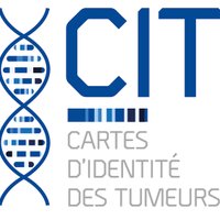 CIT (@programmecit) 's Twitter Profile