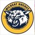 USM Wildcats Girls Co-Op Hockey (@usm_girlshockey) Twitter profile photo USM Wildcats Girls Co-Op Hockey (@usm_girlshockey) Twitter profile photo