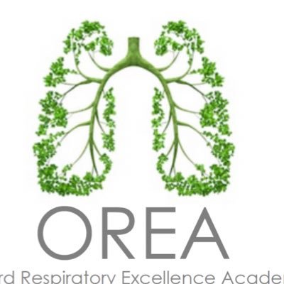 Educating, attracting and retaining rising stars in respiratory medicine