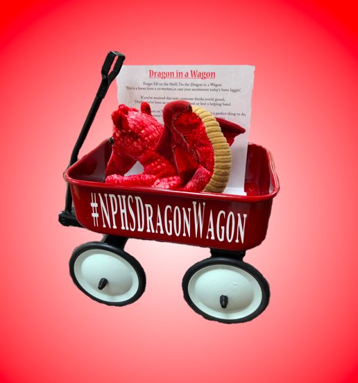 Forget Elf on the Shelf - I'm the Dragon in the Wagon. I'm making my way around NPHS, spreading joy and encouragement to NPHS staff.