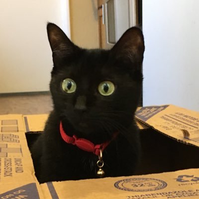 Dead_Toilet49's profile picture. 