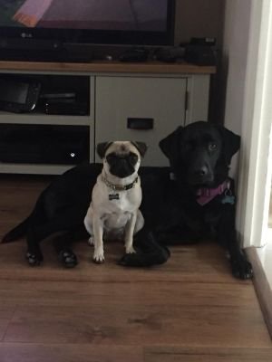 TomClee2's profile picture. 