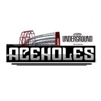 Aceholes DiscGolf(@AselAces) 's Twitter Profile Photo