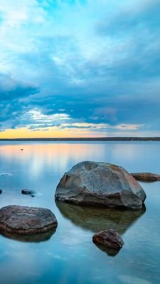 allureoasis's profile picture. 