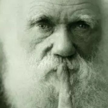 Darwin_evrim Profile Picture