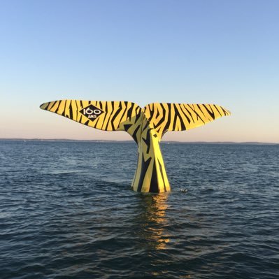 Arnoldeeeee33's profile picture. C'est parce que la vitesse de la lumière est supérieure à celle du son que certains paraissent brillants avant d'avoir l'air con.