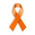 Boer Project (@boerproject) Twitter profile photo Boer Project (@boerproject) Twitter profile photo