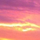 ohmygoshgrier's profile picture. 