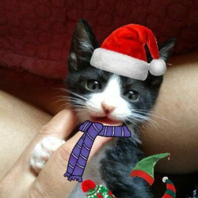 QtwrF1mrAO5fF4a's profile picture. 사람사는 세상ㆍ친노ㆍ친문ㆍ노공이산님   문재인대통령님   꼭  성공하십시요   원조 노빠