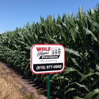 Wolf Farms Precision (@farms_wolf) 's Twitter Profile Photo