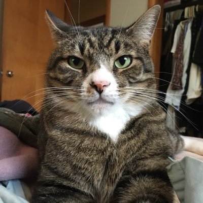 @resistandshare