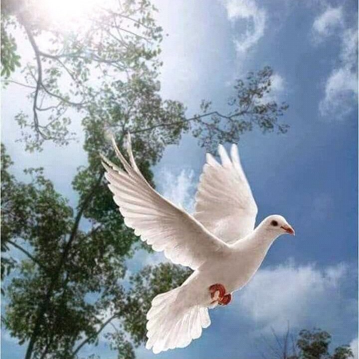 alba557209011's profile picture. 