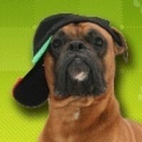 NJ Boxer Rescue (@njboxerrescue) 's Twitter Profile