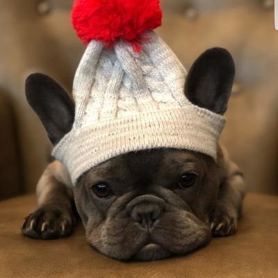 MagValdov's profile picture. 