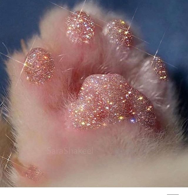 Chibichiree's profile picture. Poet, Artist, Centennial
I like my tea how I enjoy myself, dark, bitter, and too hot for you