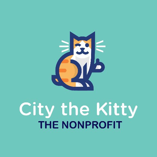 City_the_kitty Profile Picture