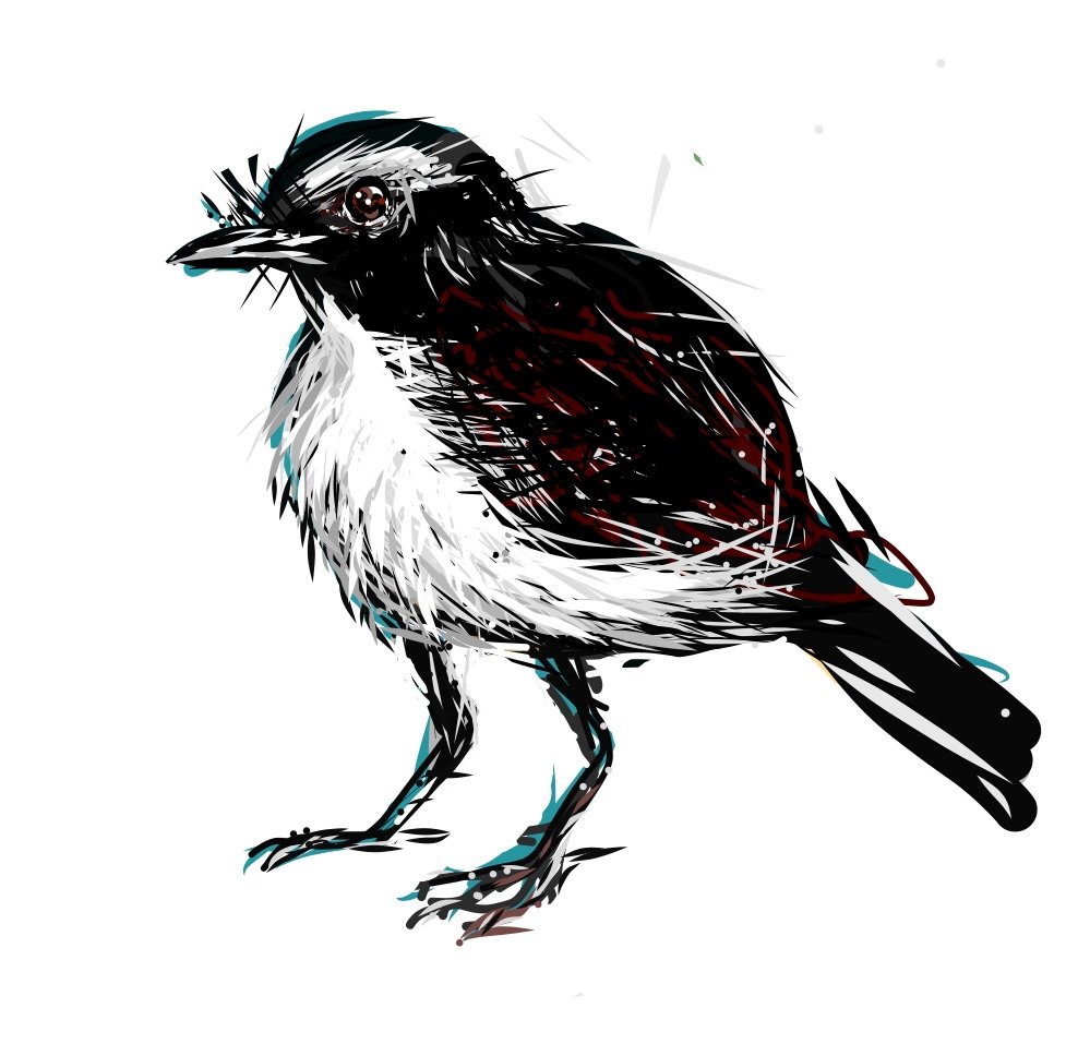 AngryWagtails Profile Picture