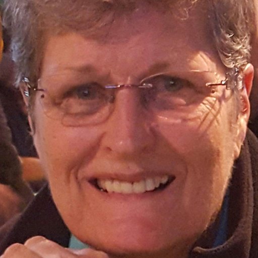 MeeksAZ's profile picture. Old lady, 2 cats.  U.S.A.F. Medic 🇺🇸 NO TRAINS
 🇺🇸 Ultra Conservative, Patriot, NO DMs, Telegram for Backup.