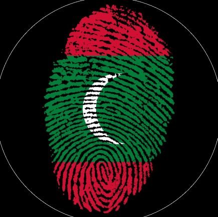 DigitalMV1's profile picture. To create more awareness on Digital Maldives #DigitalMV