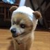 MidoLaki (@lakimido) Twitter profile photo MidoLaki (@lakimido) Twitter profile photo