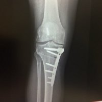 Ian Anderson (@ando742) 's Twitter Profile