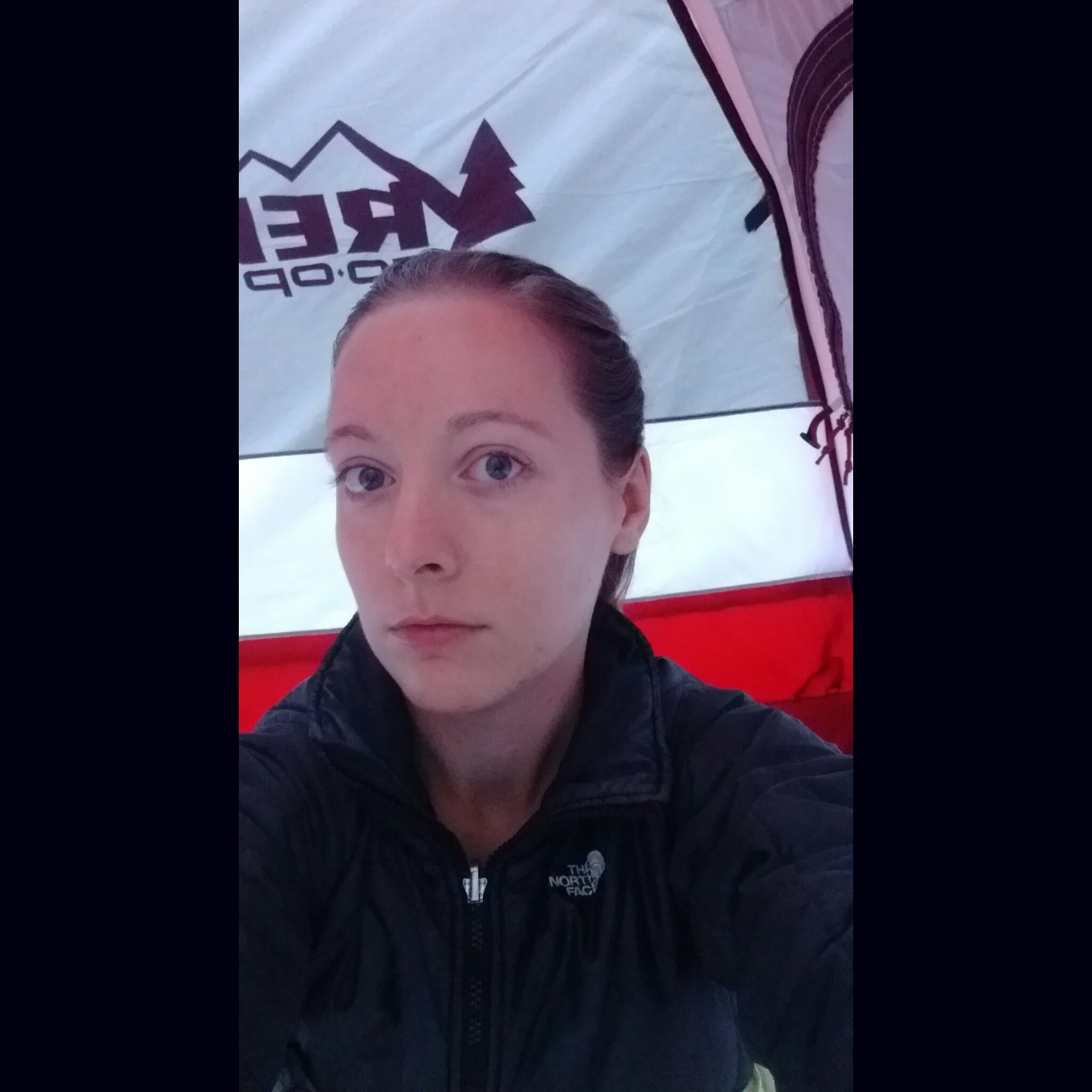 photowildlife2's profile picture. You can discover more about a person in an hour of play than in a year of conversation.