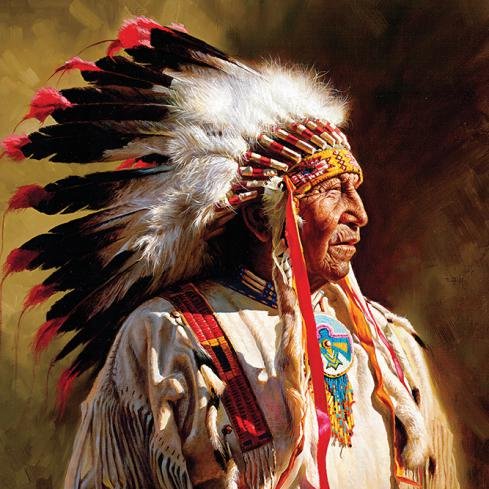 nnativepride Profile Picture