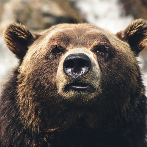 TapeLaPulpe's profile picture. Réfléchis.