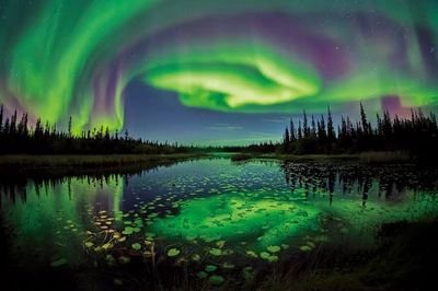 benkyoujikann's profile picture. 