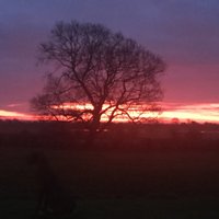 Adam Budgen π¬π§π΅πͺ (@budgen_adam) 's Twitter Profile