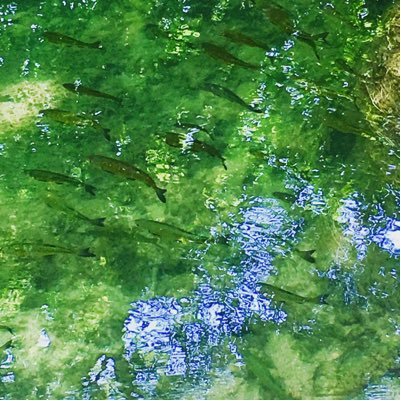 kr_ajm's profile picture. 