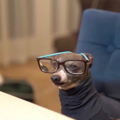 misssolod0l0's profile picture. burner