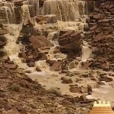 modhi12saleh's profile picture. معلمه بند ١٠٥