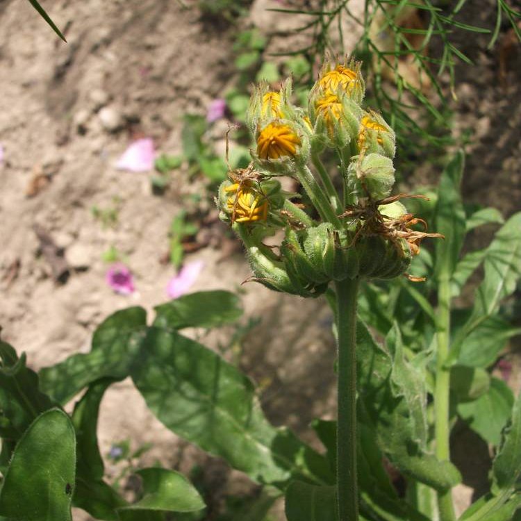 Tagado3's profile picture. 