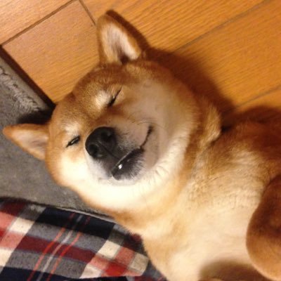 ウボァさんのプロフィール画像