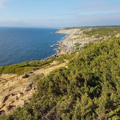 RaymondEleonor1's profile picture. 