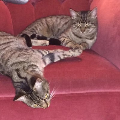 pennytuppence2's profile picture. 