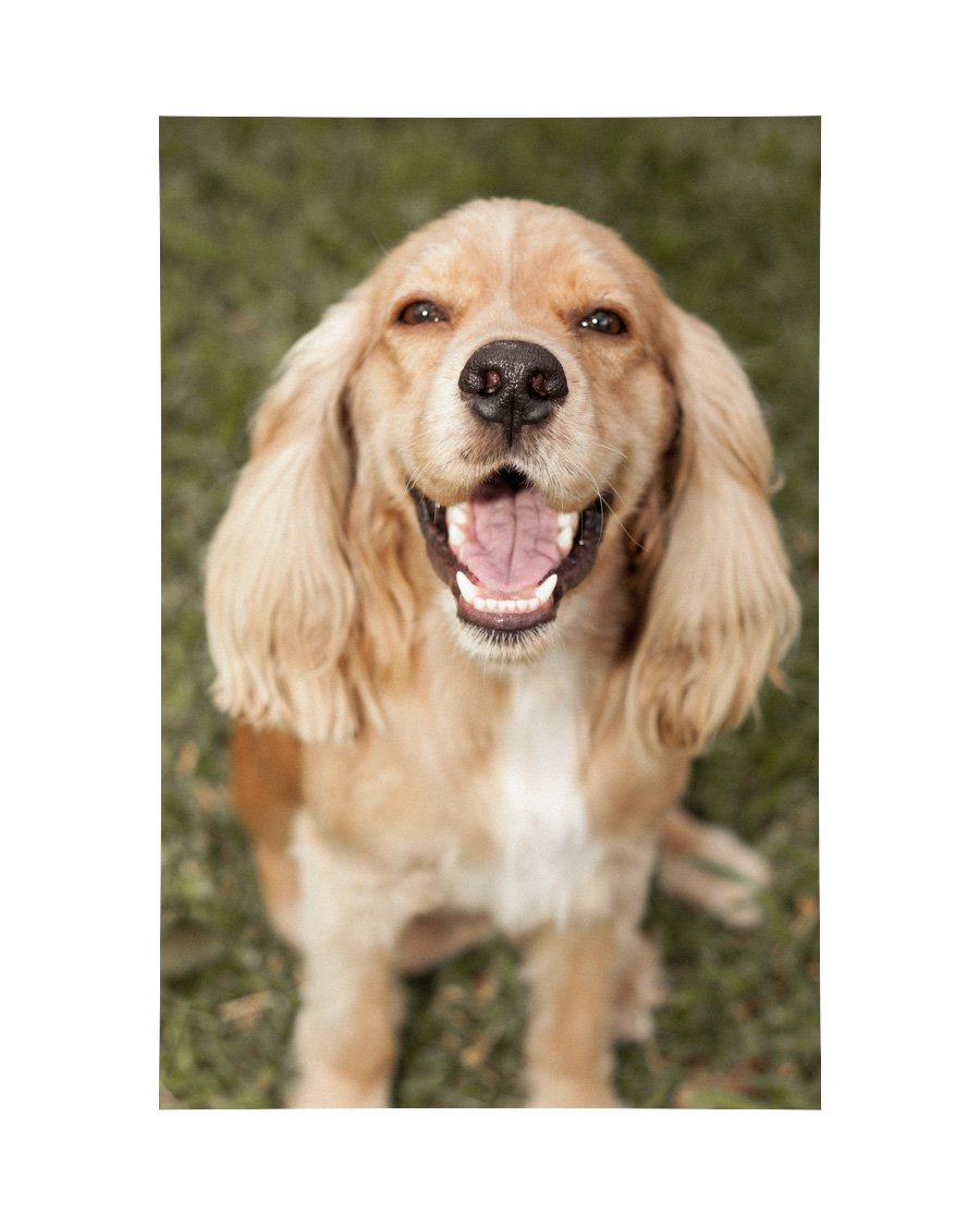 isis11857030's profile picture. 