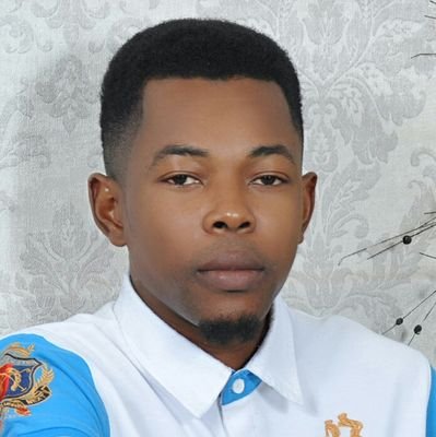 Conseiller en Stratégie Publicitaire et Communication Numerique (SPCN).