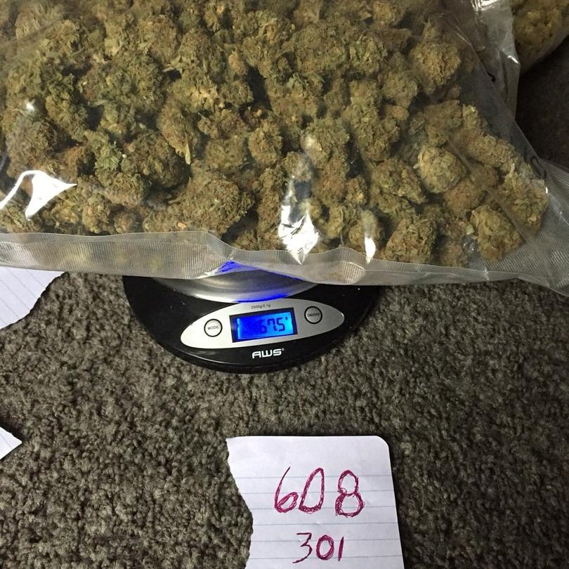 makokush's profile picture. FRESHLY HARVESTED AVAILABLE ON DEMAND AND OF WHOLESALE PRICES
EXOTIC TOP SHELF QUALITY GRADFE AAA+ BUDS WAXS DABS CARTS SEEDS AND OILS AVAILABLE
5675239546