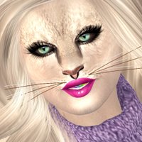 Fifi's Dream 🇺🇲🦅 😸 🐄 (@fifisdream) 's Twitter Profile