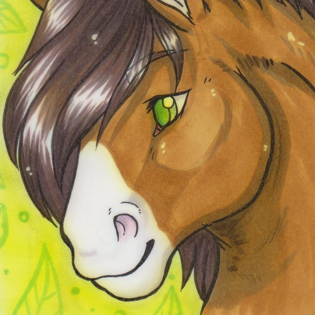 Some kind of horse that you see at conventions. If you recognize me, glad to meet ya!
he/him, anthro fan, engineer, has too much LEGO