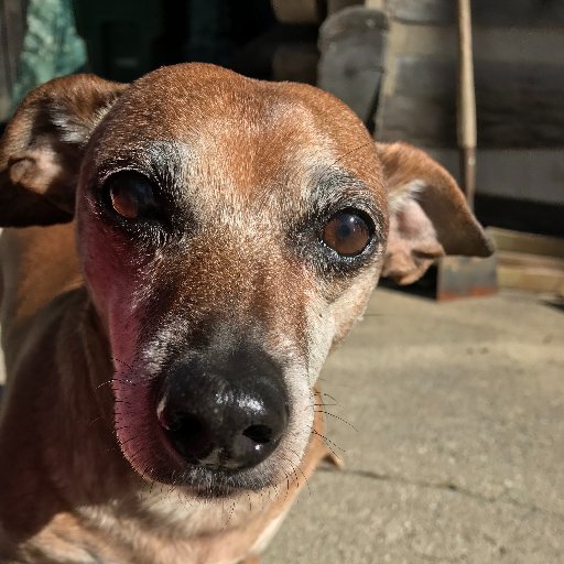 BrotherHubbardProductions