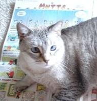 lady5's profile picture. I'm here.