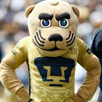 cep_rizo's profile picture. Construcción, Estructura y paileria